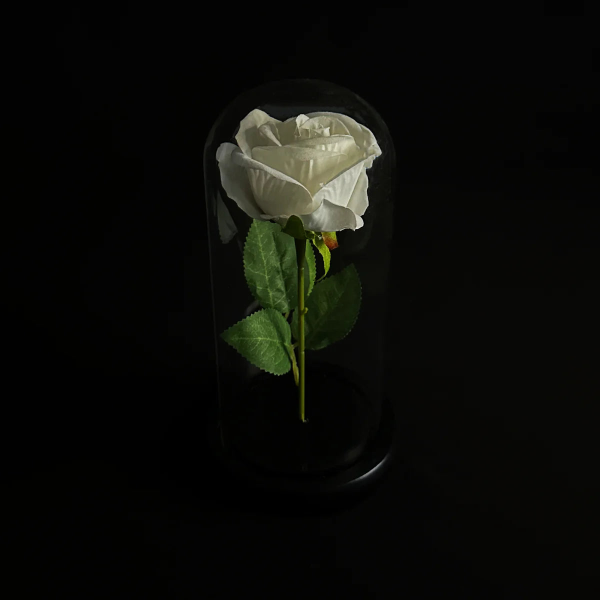 Artificial Transparent Roses LA ROSE FLOWER | Transparent Glass Dome Rose Gift | Buy Artificial Rose ...