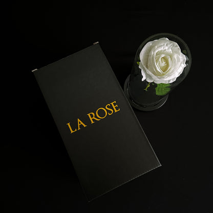 La Rose Fleur Blanche